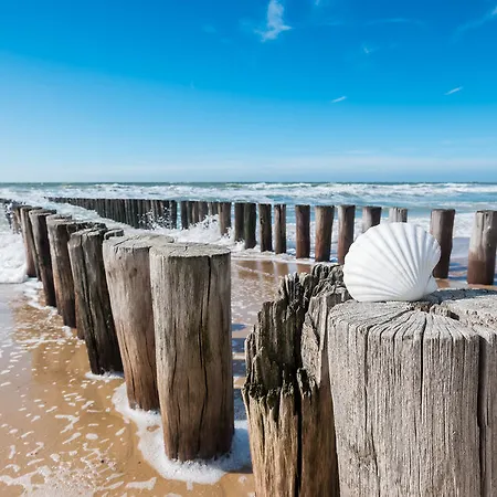 Pura Vida 4* Cuxhaven