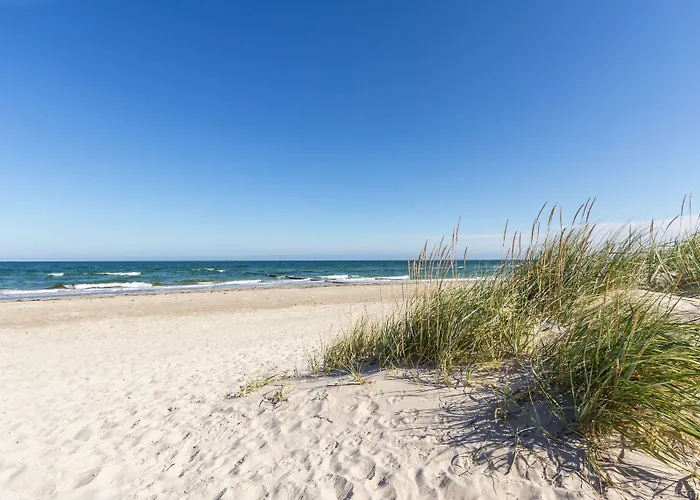 Отель Pura Vida 4*